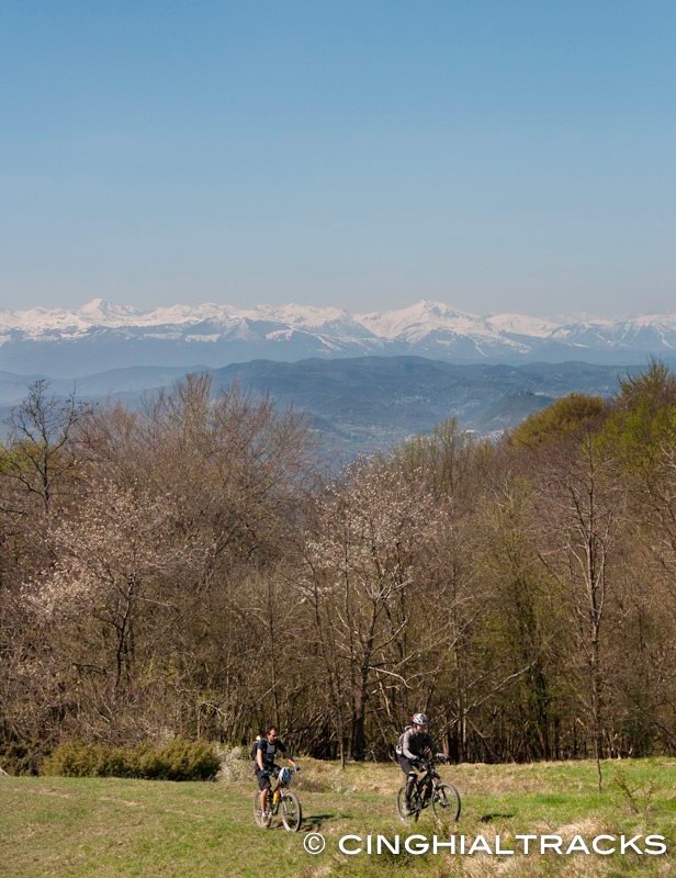 DSC_4174.jpg